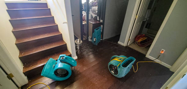 Best Water damage mitigation services  in Georgetown, CA