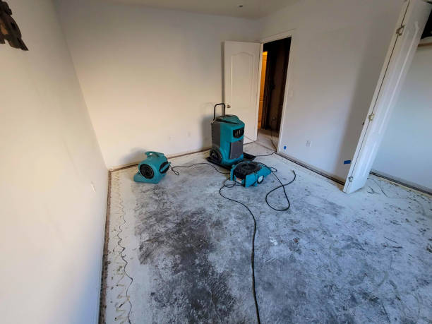Best Carpet water damage restoration  in Georgetown, CA