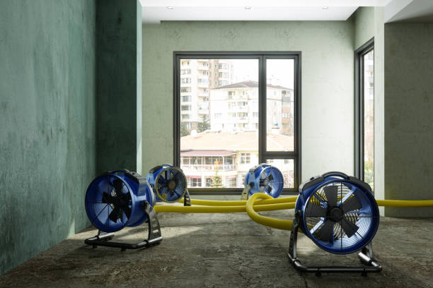 Local water damage restoration in Georgetown, CA